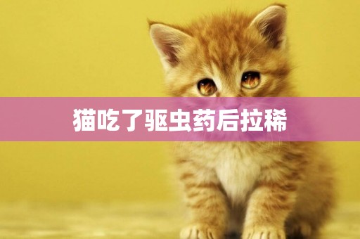貓吃了驅蟲藥后拉稀