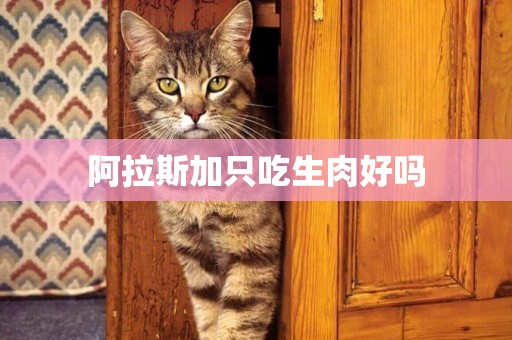 阿拉斯加只吃生肉好嗎