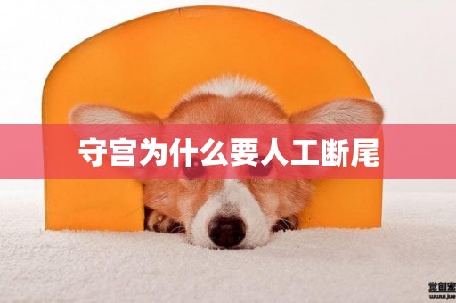 守宮為什么要人工斷尾