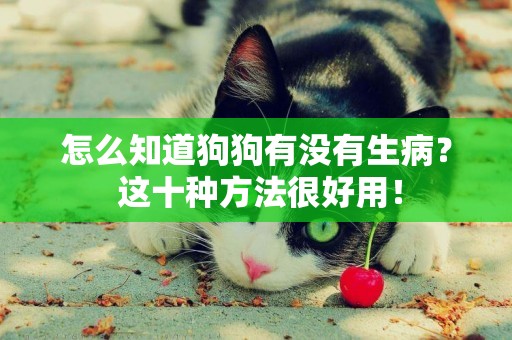 怎么知道狗狗有沒有生病？ 這十種方法很好用！