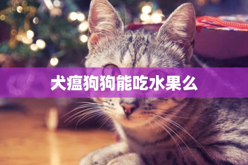 犬瘟狗狗能吃水果么