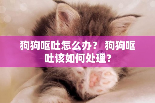 狗狗嘔吐怎么辦？ 狗狗嘔吐該如何處理？