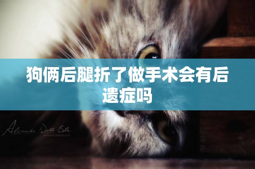 狗倆后腿折了做手術會有后遺癥嗎