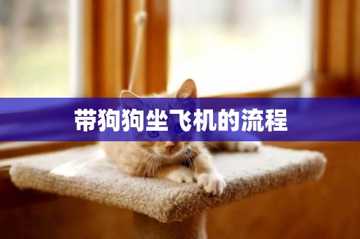 帶狗狗坐飛機的流程