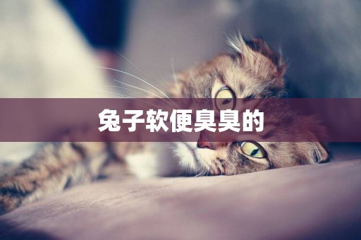 兔子軟便臭臭的
