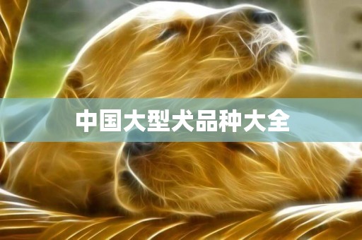 中國大型犬品種大全