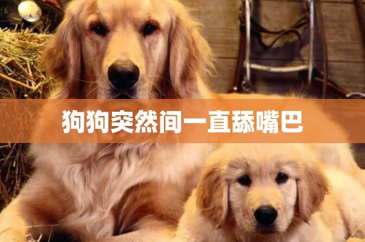 狗狗突然間一直舔嘴巴