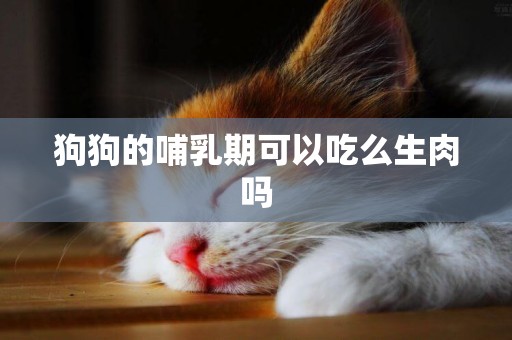 狗狗的哺乳期可以吃么生肉嗎