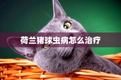 荷蘭豬球蟲病怎么治療