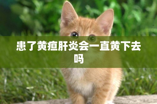 患了黃疸肝炎會一直黃下去嗎