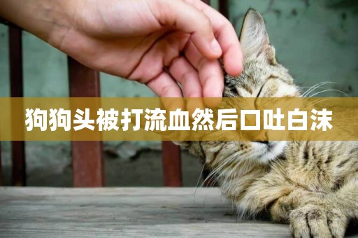 狗狗頭被打流血然后口吐白沫