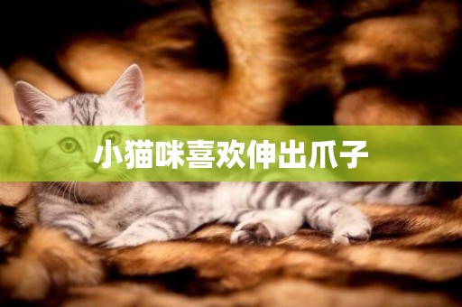 小貓咪喜歡伸出爪子
