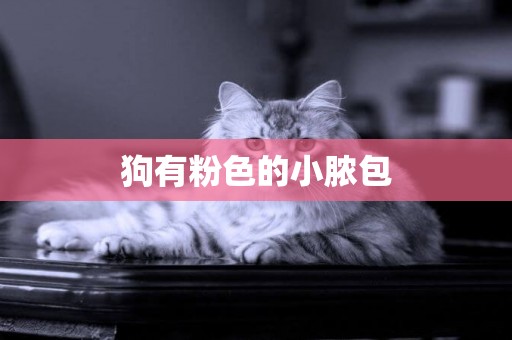 狗有粉色的小膿包