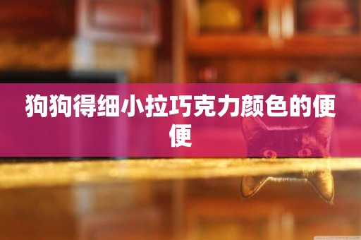 狗狗得細小拉巧克力顏色的便便