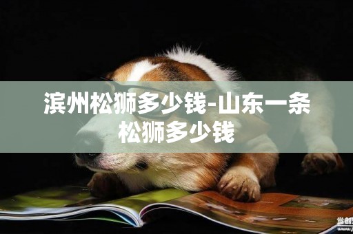 濱州松獅多少錢-山東一條松獅多少錢