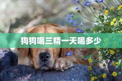 狗狗喝三精一天喝多少