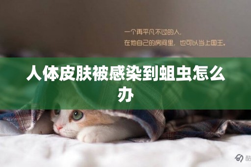 人體皮膚被感染到蛆蟲怎么辦
