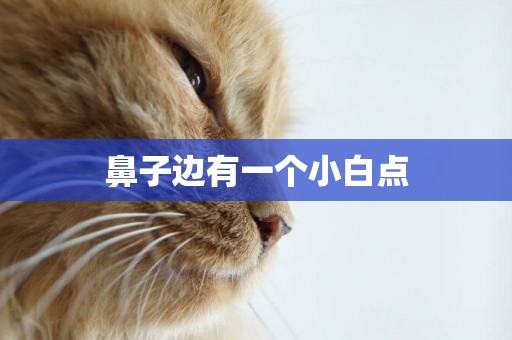 鼻子邊有一個小白點