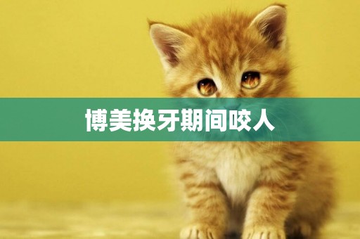 博美換牙期間咬人