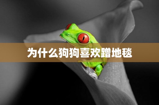 為什么狗狗喜歡蹭地毯