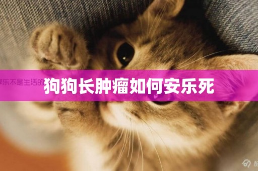 狗狗長腫瘤如何安樂死