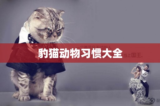豹貓動物習慣大全