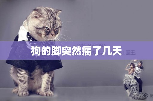 狗的腳突然瘸了幾天