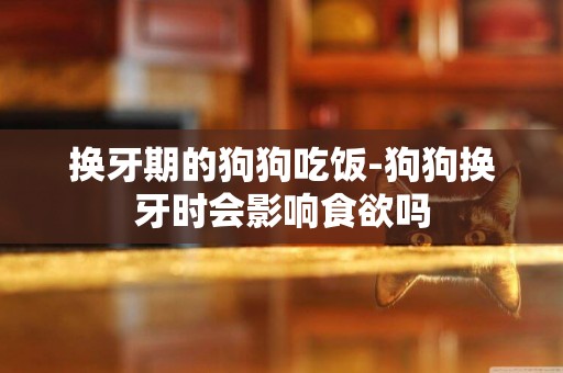 換牙期的狗狗吃飯-狗狗換牙時會影響食欲嗎
