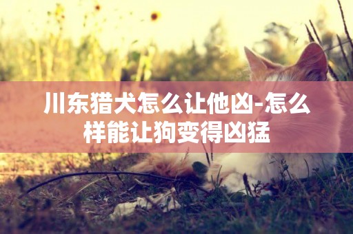 川東獵犬怎么讓他兇-怎么樣能讓狗變得兇猛