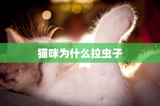 貓咪為什么拉蟲子