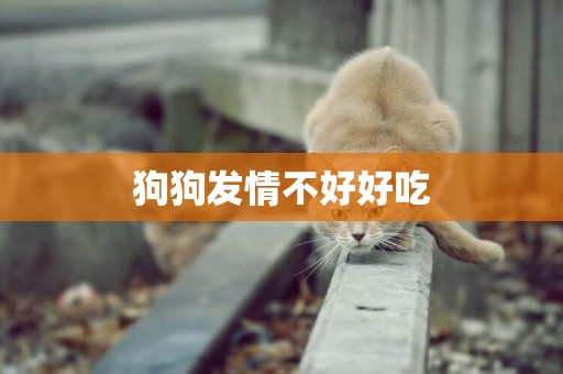 狗狗發情不好好吃
