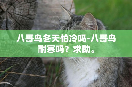 八哥鳥冬天怕冷嗎-八哥鳥耐寒嗎？求助。