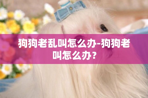 狗狗老亂叫怎么辦-狗狗老叫怎么辦？