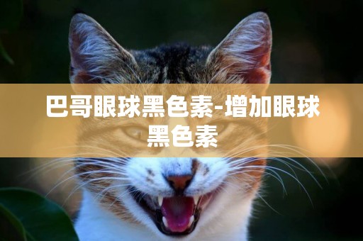 巴哥眼球黑色素-增加眼球黑色素