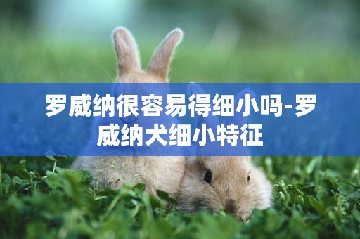 羅威納很容易得細小嗎-羅威納犬細小特征