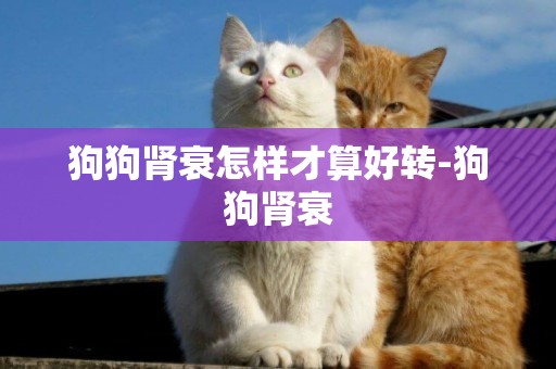狗狗腎衰怎樣才算好轉-狗狗腎衰