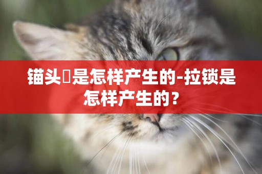 錨頭瑵是怎樣產生的-拉鎖是怎樣產生的？