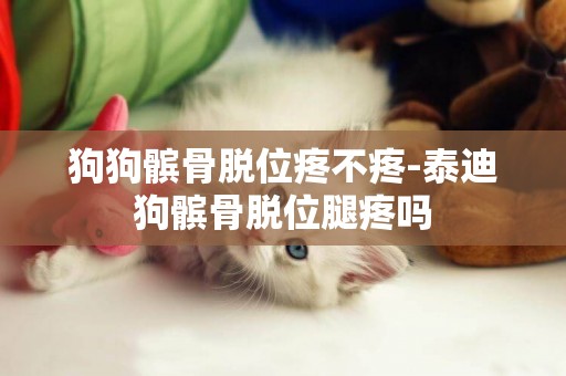 狗狗髕骨脫位疼不疼-泰迪狗髕骨脫位腿疼嗎