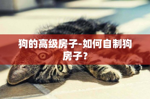 狗的高級房子-如何自制狗房子？