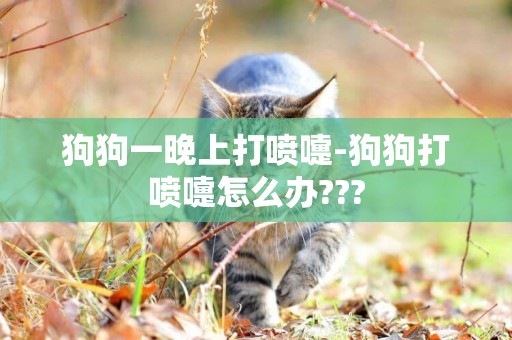狗狗一晚上打噴嚏-狗狗打噴嚏怎么辦???