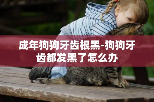 成年狗狗牙齒根黑-狗狗牙齒都發黑了怎么辦