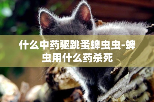 什么中藥驅跳蚤蜱蟲蟲-蜱蟲用什么藥殺死