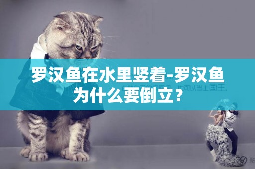 羅漢魚在水里豎著-羅漢魚為什么要倒立？
