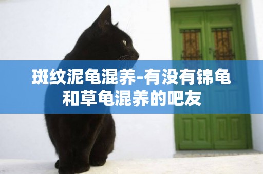 斑紋泥龜混養-有沒有錦龜和草龜混養的吧友