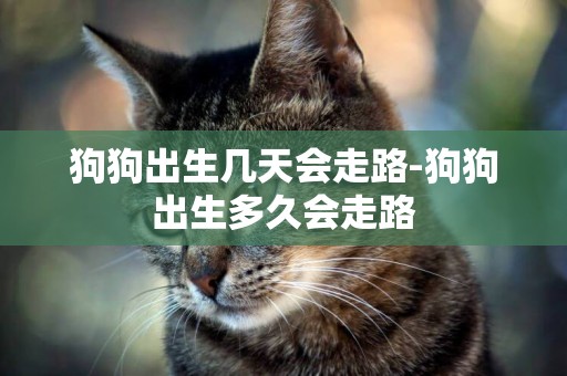 狗狗出生幾天會走路-狗狗出生多久會走路