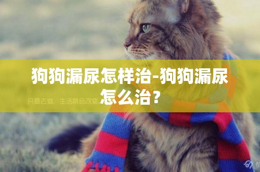 狗狗漏尿怎樣治-狗狗漏尿怎么治？