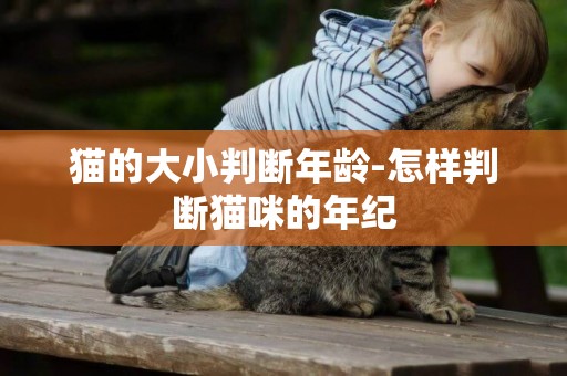 貓的大小判斷年齡-怎樣判斷貓咪的年紀