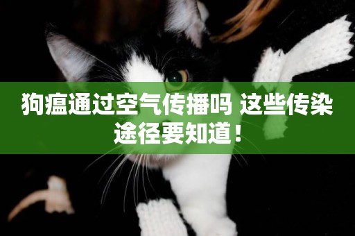 狗瘟通過空氣傳播嗎 這些傳染途徑要知道！
