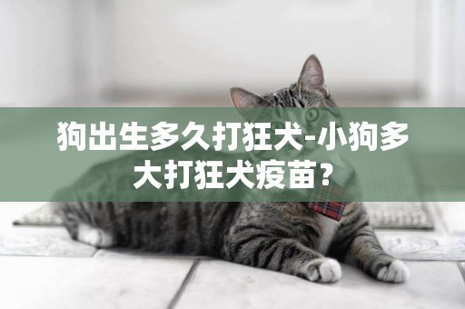 狗出生多久打狂犬-小狗多大打狂犬疫苗？