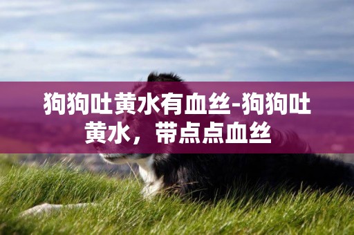 狗狗吐黃水有血絲-狗狗吐黃水，帶點點血絲